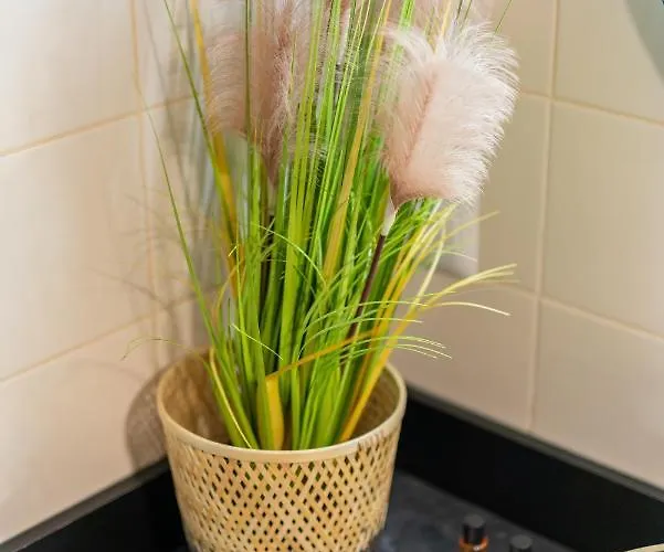 Exclusive Centrum * ודוביצה